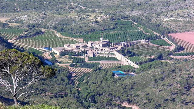 Vista aérea de la Cartuja de Portaceli entre campos y montes