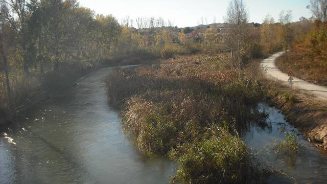Camino de tierra junto al río en otoño